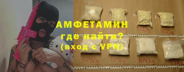 стаф Алзамай