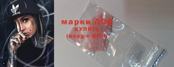 стаф Алзамай