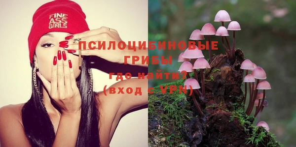 винт Алексеевка