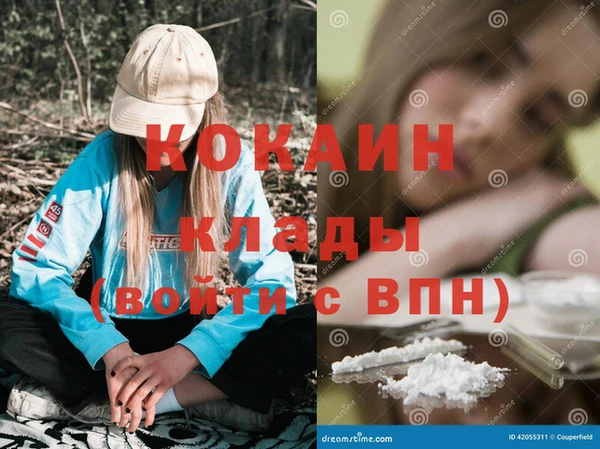 стаф Алзамай