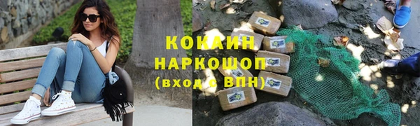 стаф Алзамай