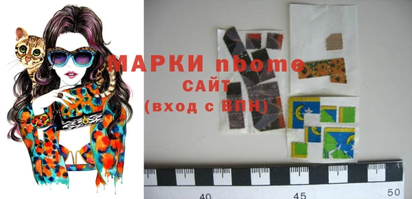 стаф Алзамай