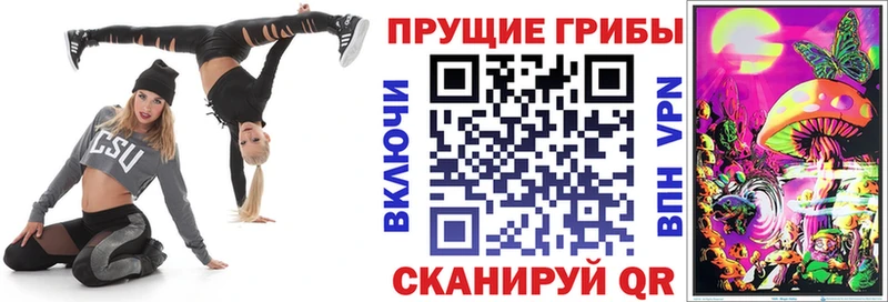 сайты даркнета состав  Самара  Галлюциногенные грибы Cubensis 